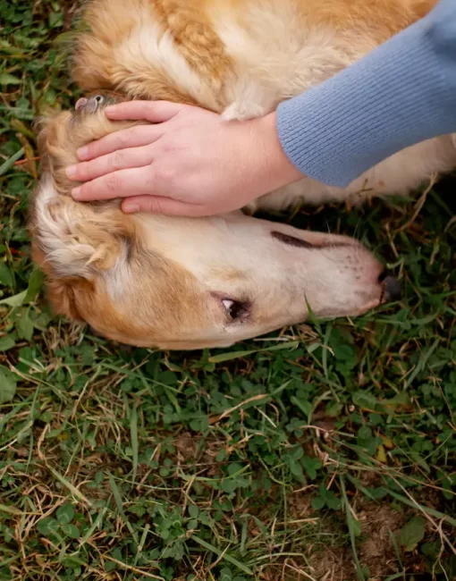 close-up-farmer-spending-time-with-dog