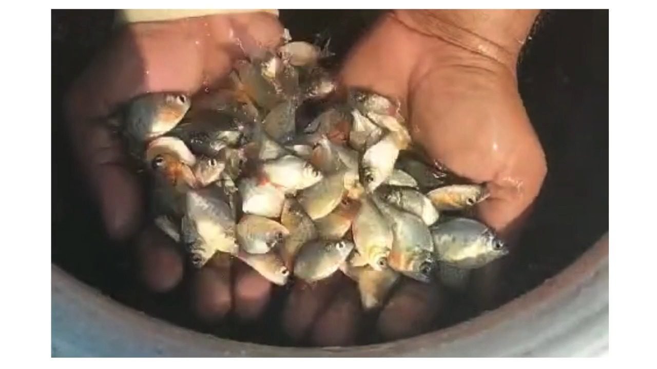 Untitled design (1)-0