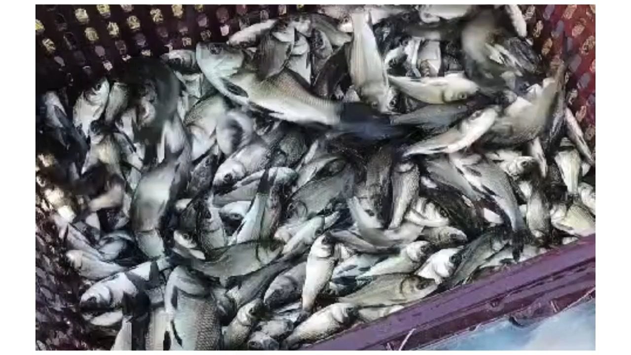 Untitled design (3)-0