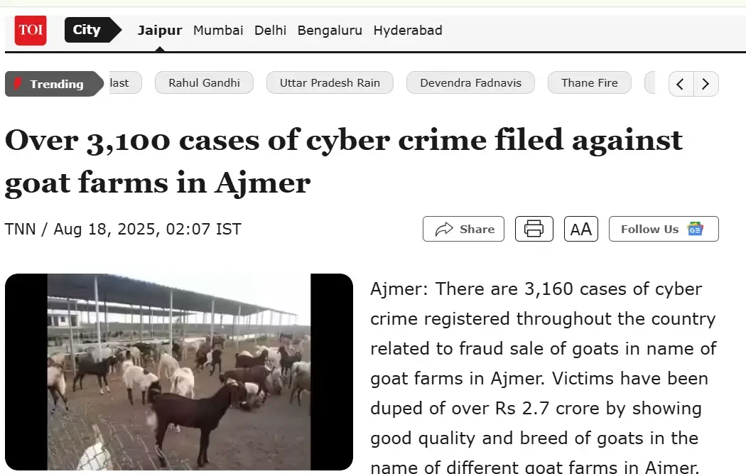 Time of india Ajmer Bakra Mandi