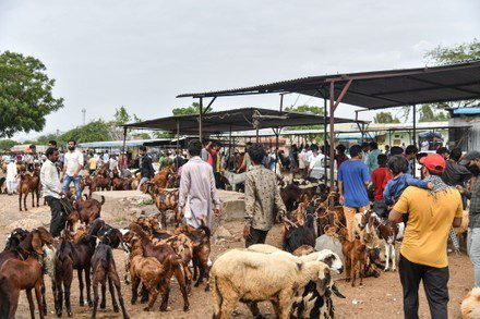 /bakra-mandi-fraud-guide