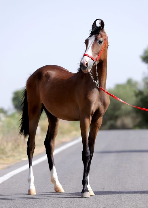 347248618_230421593086947_767912658960573566_n