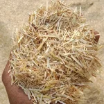 7718866888Wheatstraw