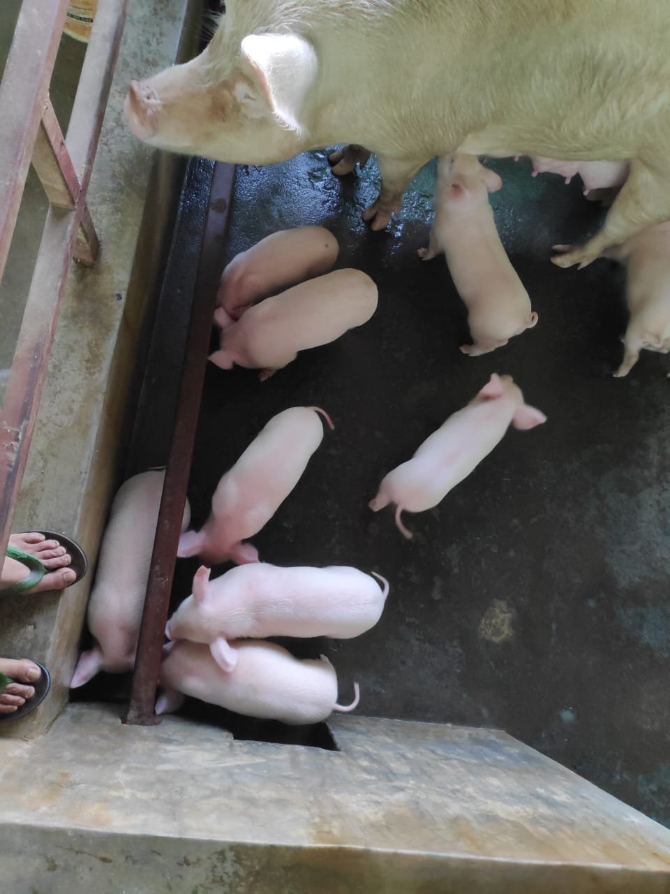 WhatsApp-Image-2025-02-22-at-2.31.57-PM