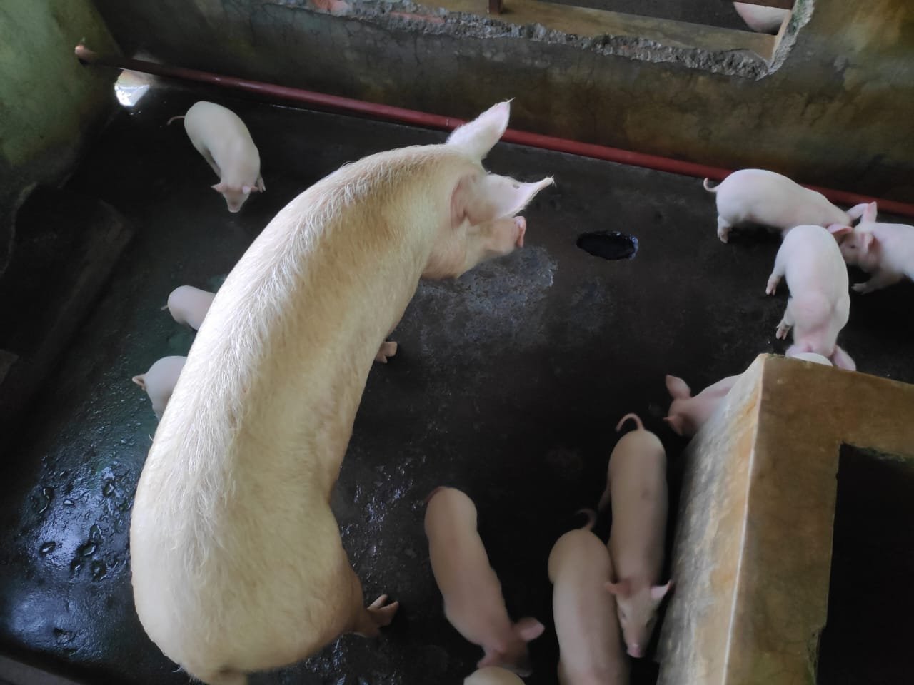 WhatsApp-Image-2025-02-22-at-2.31.58-PM