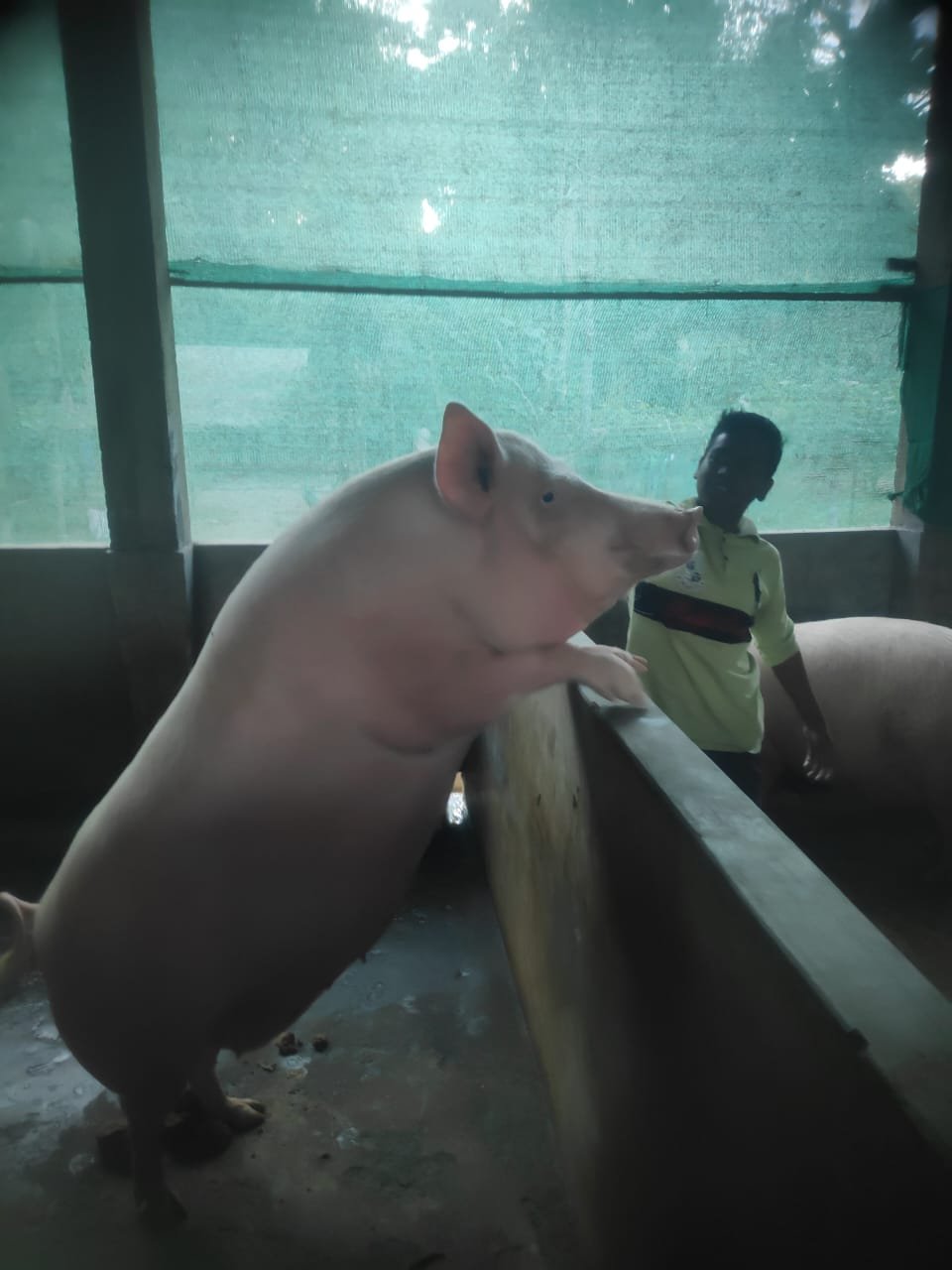 WhatsApp-Image-2025-02-22-at-2.32.27-PM