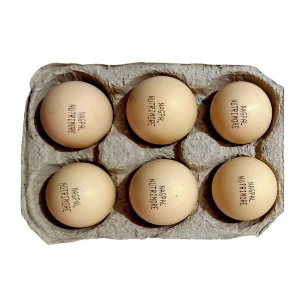 golden-colour-premium-quality-poultry-eggs-1000×1000-1
