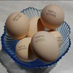 nagpal-nutrimore-egg-tray-1000×1000-1