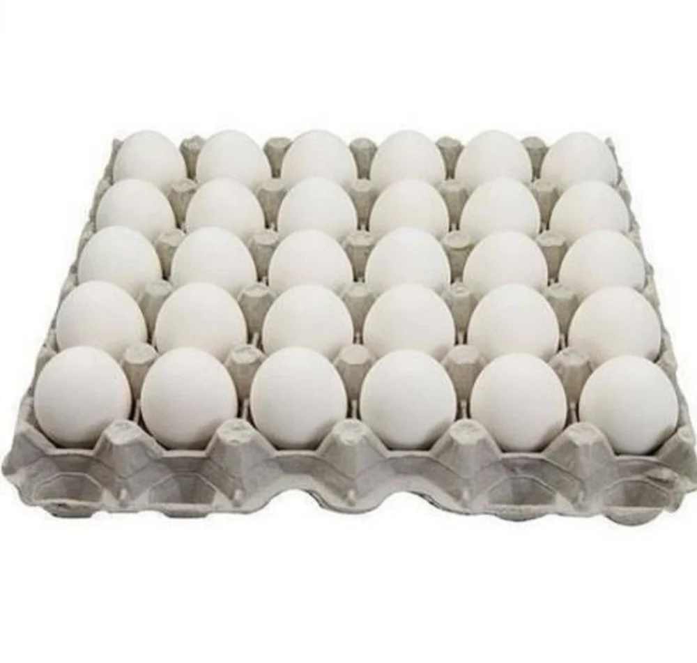 poultry-farm-egg-1000×1000-1