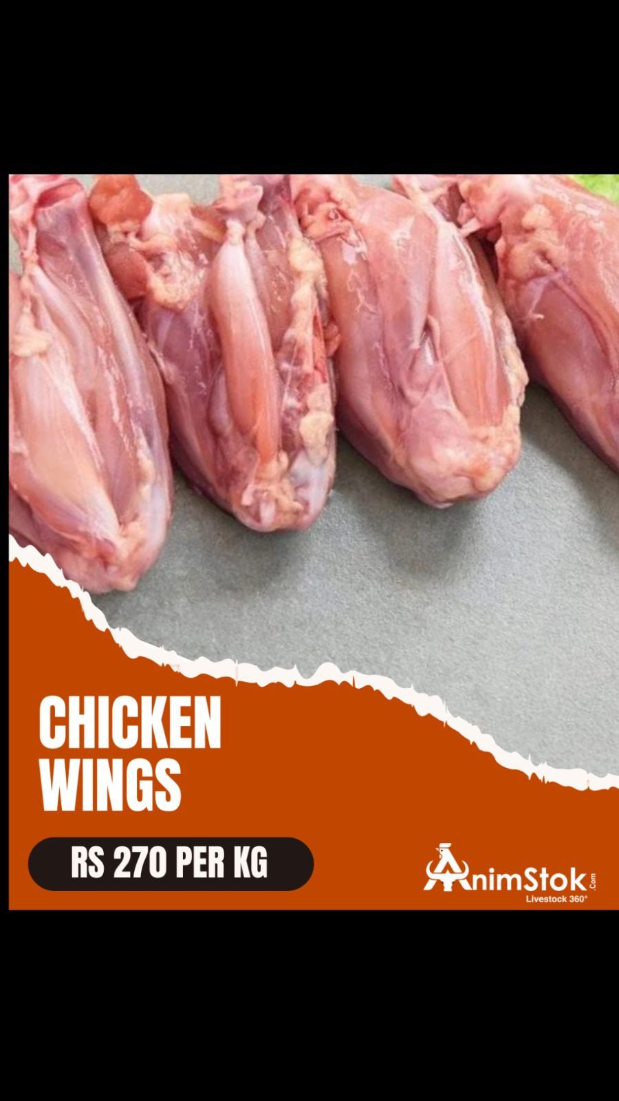 WhatsApp-Image-2025-11-07-at-6.34.46-PM-8